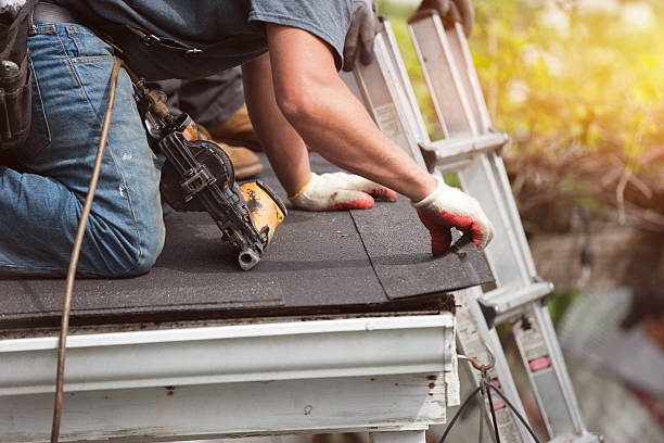 Best Roof Gutter Cleaning  in Waldron, AR